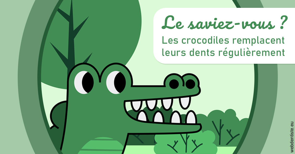 https://dr-amory-christophe.chirurgiens-dentistes.fr/Crocodiles 2