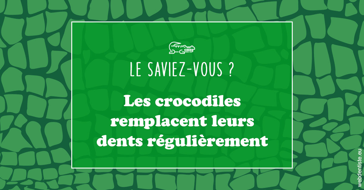 https://dr-amory-christophe.chirurgiens-dentistes.fr/Crocodiles 1